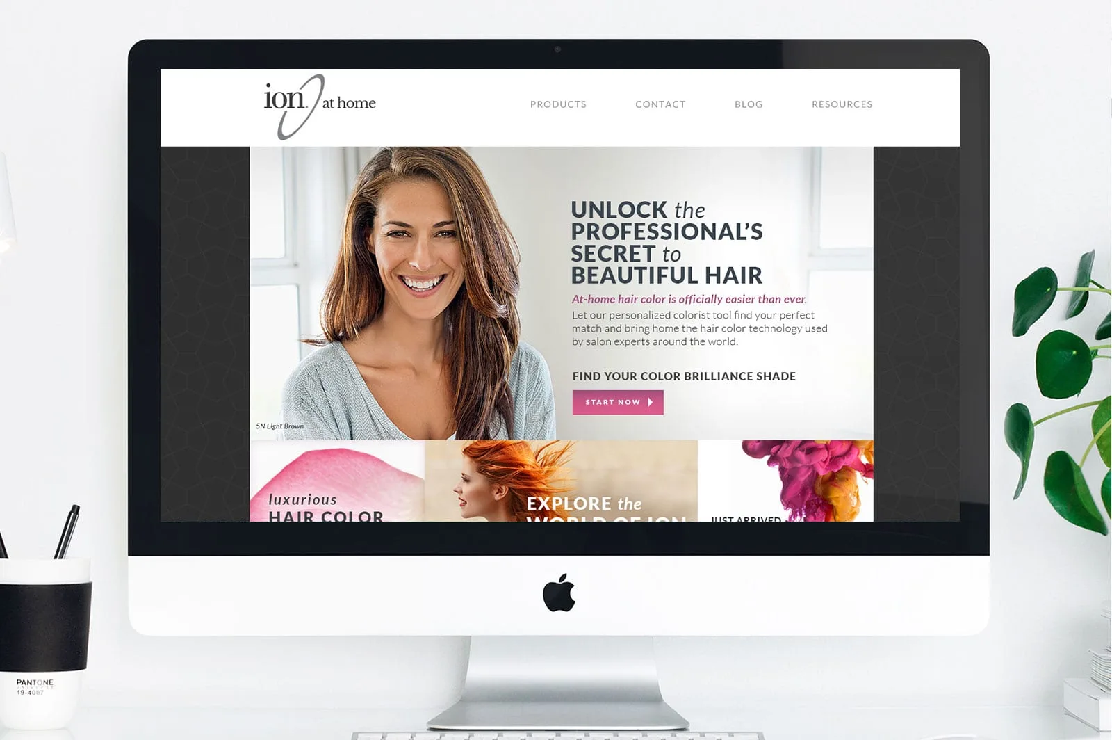 Sally Beauty Ion at Home brand identity and digital experience by Madplum Creative.
